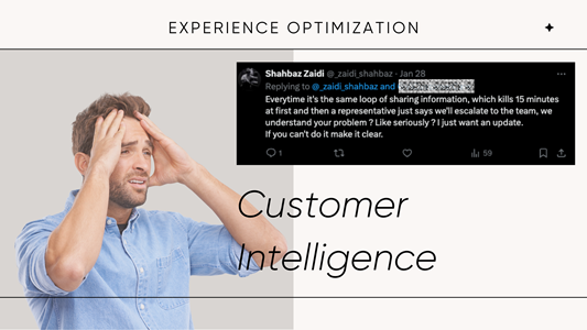 customer intelligence